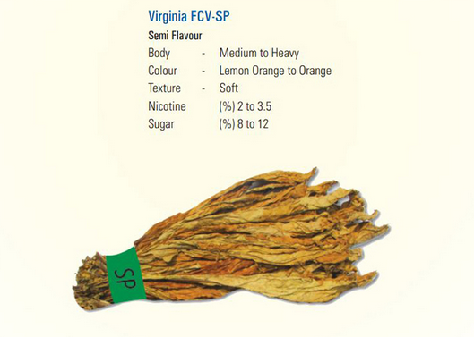 LEAF & JUTE IBERIAN S.L virginia fvc