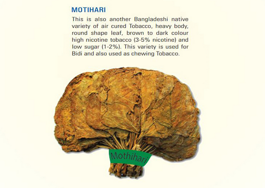 LEAF & JUTE IBERIAN S.L mothihari