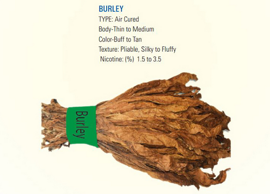 LEAF & JUTE IBERIAN S.L burley